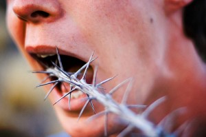 Don't screw up your palate!