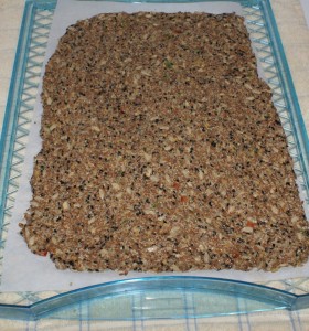 Cracker dough on dehydrator sheet Cracker dough on dehydrator sheet