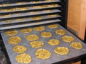Raw corn chips